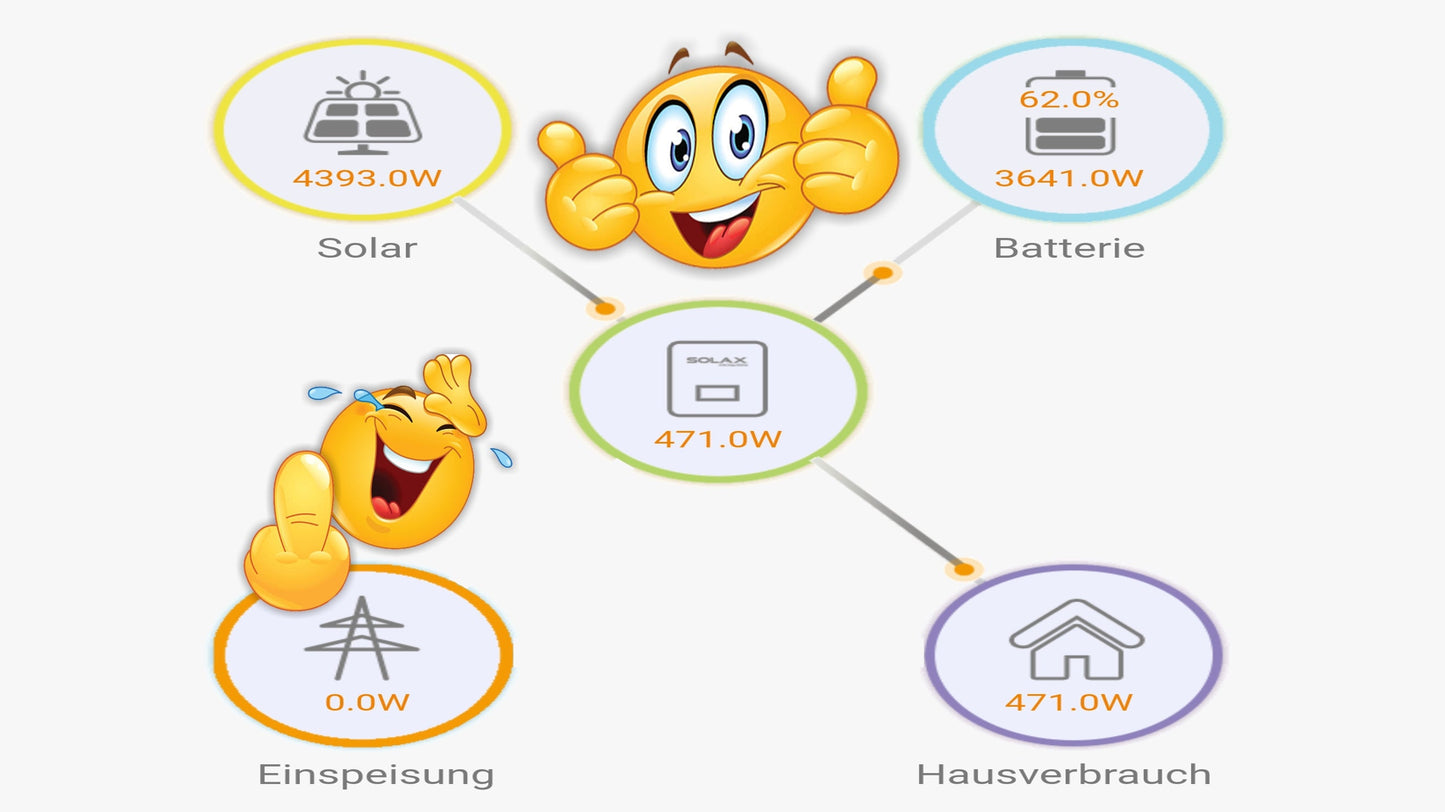 Einspeisen oder maximaler Eigenverbrauch ?